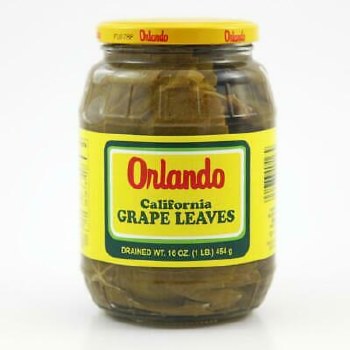 Orlando Grape Leaves